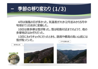2019年4月
© 2013 N.Naka
4月は強風の日が多かった。気温差が大きく2月並みから5月中
旬頃まで1日おきに変動した。
10日は奥多摩は雪が降った。雪は昭島付近までのようで、他の
多摩地区はみぞれだった。
13日にカメラチェックに⾏ったときも、路肩や標⾼の⾼い⼭肌には
雪が残っていた。
－ 季節の移り変わり (1/3)
サクラと雪の山肌
雪が残る⼭肌
 