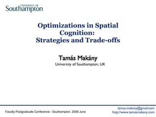 Optimizations in Spatial Cognition:  Strategies and Trade-offs 