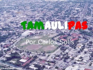 Tamaulipas
Por Carlos Solís
 
