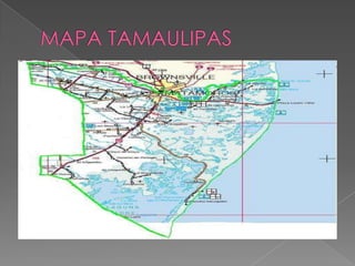 estado de tamaulipas