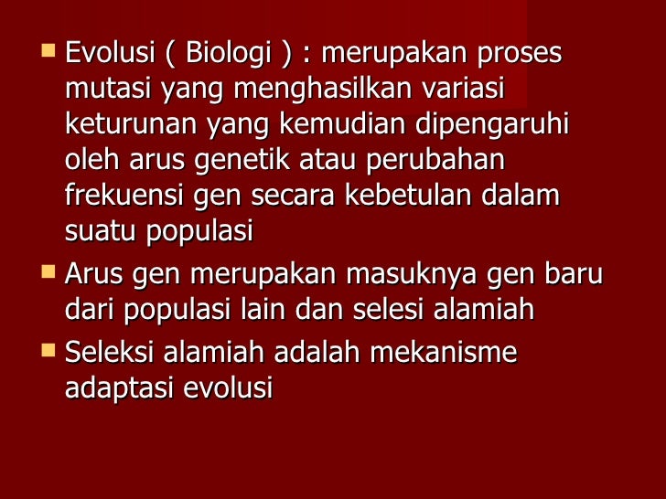 Tambahan Bab Iv. Evolusi Manusia (E)