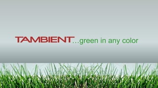 … green in any color 