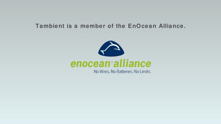 Tambient slideshare