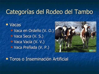 Categorías del Rodeo del Tambo Vacas Vaca en Ordeño (V. O.) Vaca Seca (V. S.) Vaca Vacía (V. V.) Vaca Preñada (V. P.) Toros o Inseminación Artificial