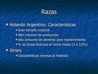 Razas Holando Argentino: Características Gran tamaño corporal Alto volumen de producción Alto consumo de alimento para mantenimiento % de Grasa Butirosa en leche medio (3 a 3,5%) Jersey Características inversas al Holando 