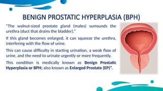 Flow Bph Comprehensive Overview and Management of Benign Prostatic Hyperplasia ...