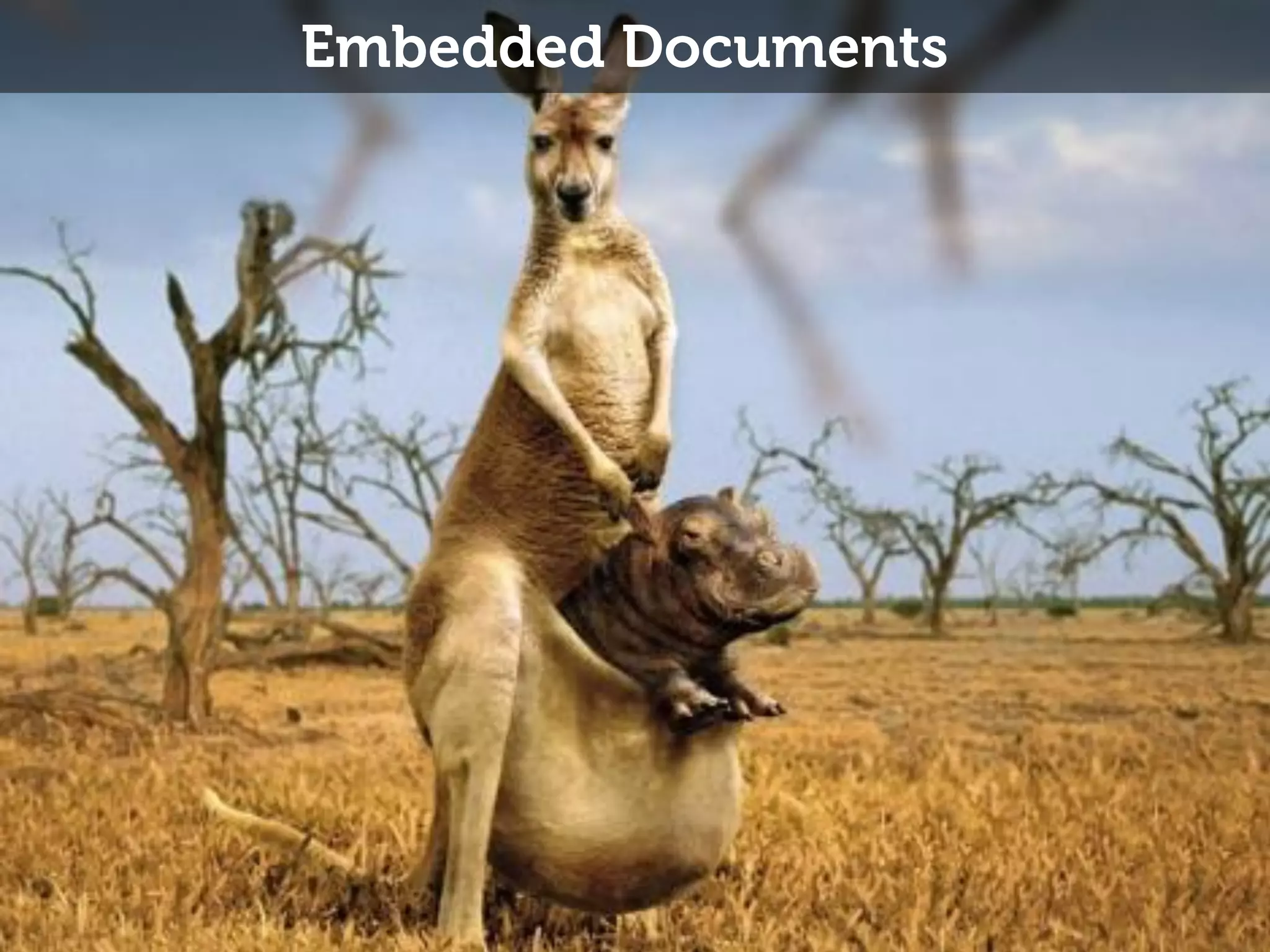 Embedded Documents 