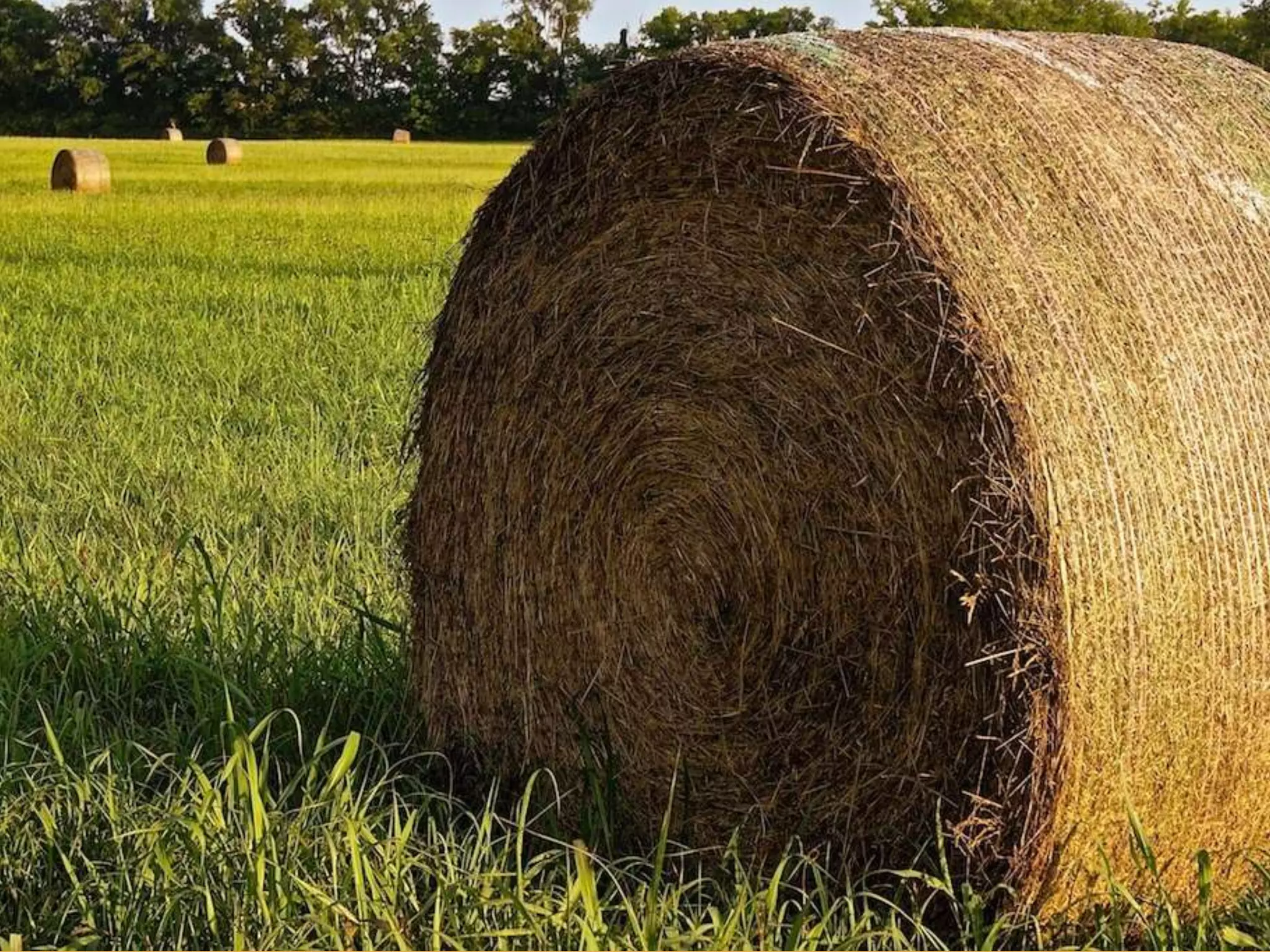 @theburningmonk
[
“namespaceIs”; “‘JustEat’”; “and”;
“nameLike”; “‘cpu’”; “and”;
…
]
 