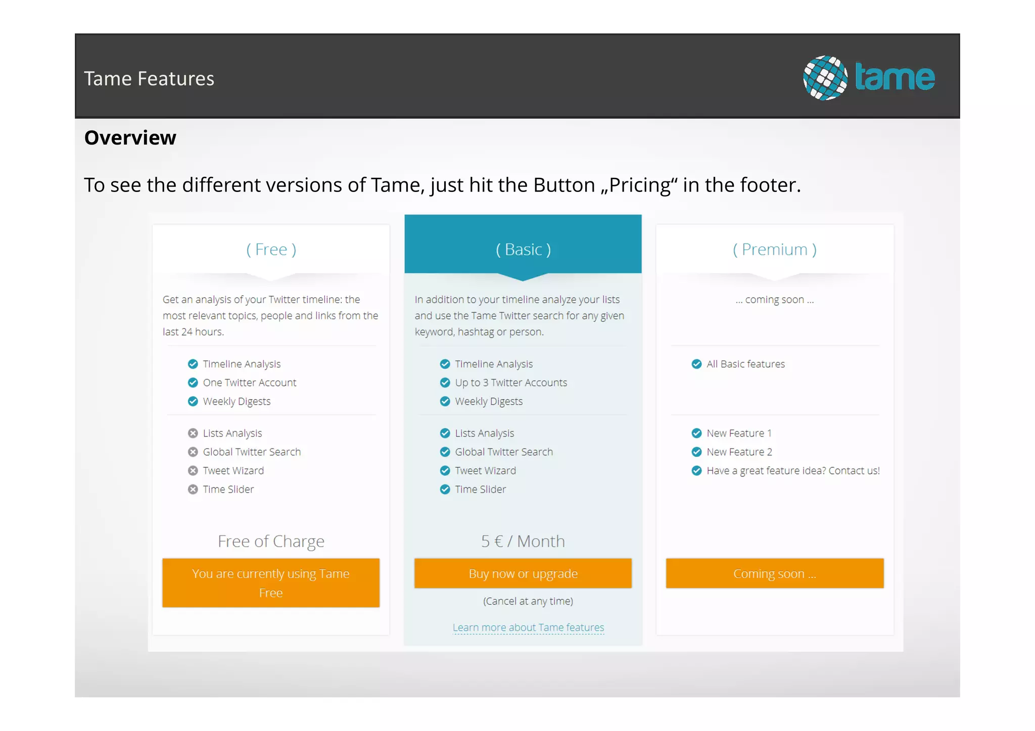 Overview
To see the different versions of Tame, just hit the Button „Pricing“ in the footer.
Tame Features
 