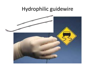 Hydrophilic guidewire
 