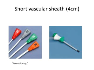 Short vascular sheath (4cm)
“Note color tag!”
 