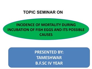 INCIDENCE OF MORTALITY DURING
INCUBATION OF FISH EGGS AND ITS POSSIBLE
CAUSES
PRESENTED BY:
TAMESHWAR
B.F.SC IV YEAR
TOPIC SEMINAR ON
 