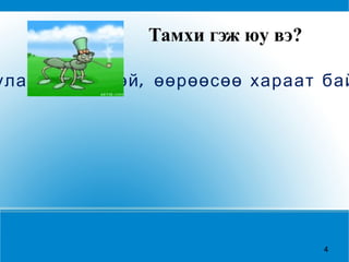 Тамхи гэж юу вэ? Татах буюу үнэрлэж, зажилж хэрэглэхэд зориулсан мансууруулах, нөлөөтэй, өөрөөсөө хараат байдал үүсгэн донтуулах үйлчилгээтэй бодис агуулсан нэгэн төрлийн  хор  юм. 