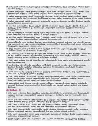 Tamil bible