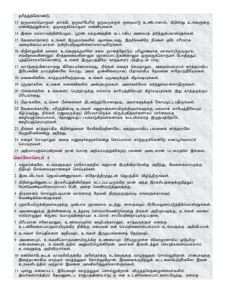 Tamil bible