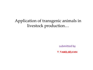 Application of transgenic animals in
livestock production…
submitted by
T.TAMILSELVAN
 