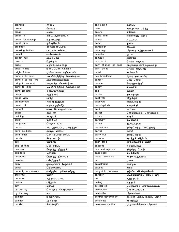 Tamildic1