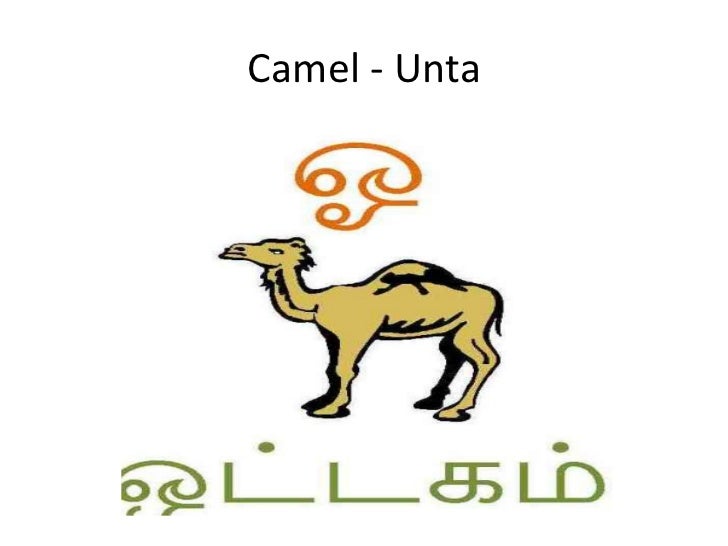 Tamil lg vowel -2