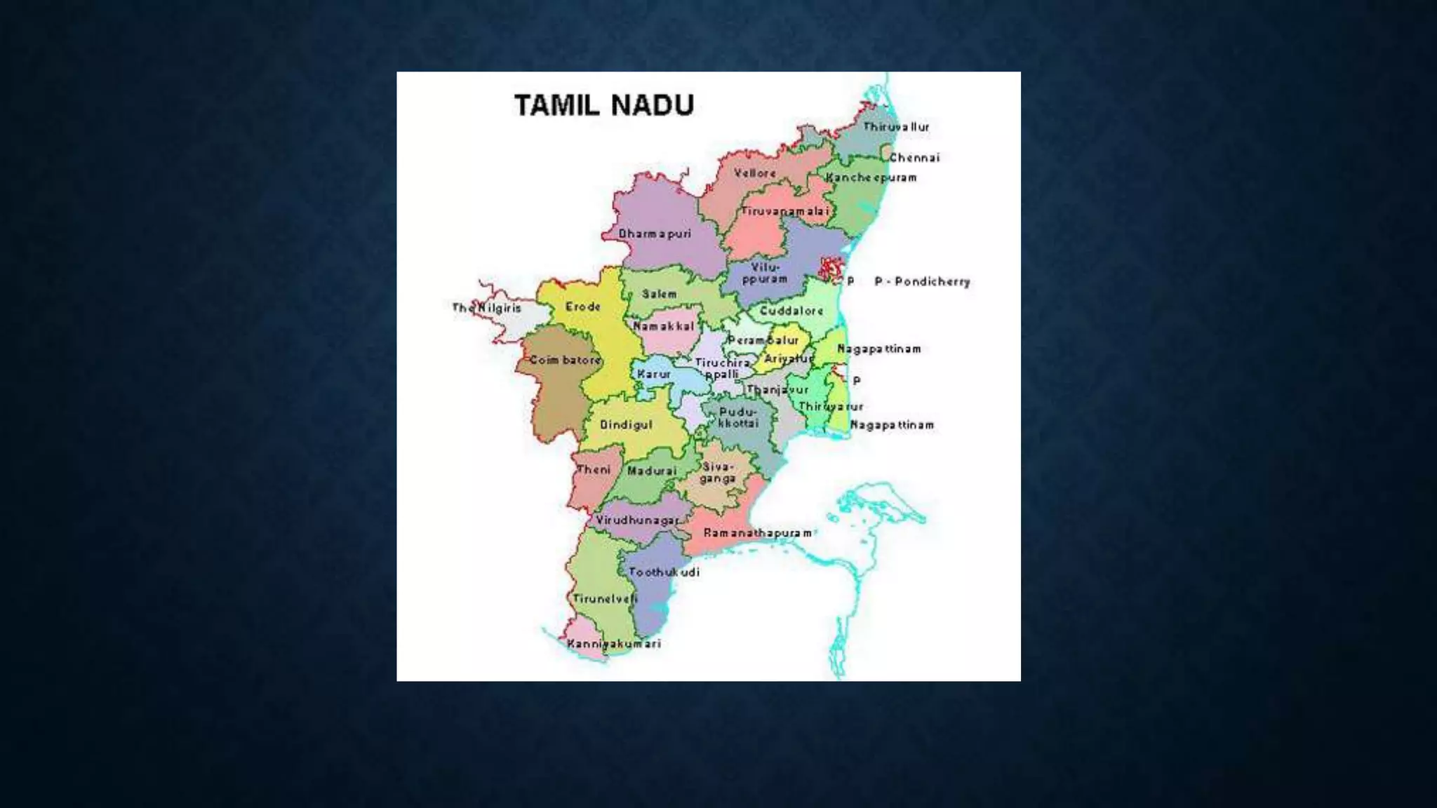 Culture of Tamil Nadu | PPTX