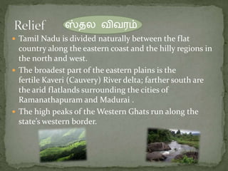  Tamil Nadu is divided naturally between the flat
country along the eastern coast and the hilly regions in
the north and west.
 The broadest part of the eastern plains is the
fertile Kaveri (Cauvery) River delta; farther south are
the arid flatlands surrounding the cities of
Ramanathapuram and Madurai .
 The high peaks of the Western Ghats run along the
state’s western border.
ஸ்தல விவரம்
 