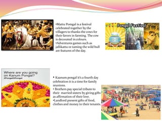 • Kaanum pongal it’s a fourth day
celebration it is a time for family
reunions.
• Brothers pay special tribute to
their married sisters by giving gifts
as affirmation of their love.
•Landlord present gifts of food,
clothes and money to their tenants.
•Mattu Pomgal is a festival
celebrated together by the
villagers to thanks the cows for
their favors in farming. The cow
is decorated in colours.
•Adventures games such as
jallikattu or taming the wild bull
are features of the day.
 