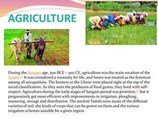 AGRICULTURE
During the Sangam age, 500 BCE – 300 CE, agriculture was the main vocation of the
Tamils.[1] It was considered a necessity for life, and hence was treated as the foremost
among all occupations. The farmers or the Ulavar were placed right at the top of the
social classification. As they were the producers of food grains, they lived with self-
respect. Agriculture during the early stages of Sangam period was primitive,[1] but it
progressively got more efficient with improvements in irrigation, ploughing,
manuring, storage and distribution. The ancient Tamils were aware of the different
varieties of soil, the kinds of crops that can be grown on them and the various
irrigation schemes suitable for a given region.
 