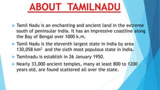 ABOUT TAMILNADU
 Tamil Nadu is an enchanting and ancient land in the extreme
south of peninsular India. It has an impressive coastline along
the Bay of Bengal over 1000 k.m.
 Tamil Nadu is the eleventh largest state in India by area
130,058 km2 and the sixth most populous state in India.
 Tamilnadu is establish in 26 January 1950.
 Nearly 33,000 ancient temples, many at least 800 to 1200
years old, are found scattered all over the state.
 