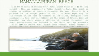 It is 60 Km south of Chennai City. Mamallapuram beach is a 20 km long
stretch . This was originally a Pallav Dynasty’s Port. This beach is
visited by millions of tourists throughout the year. Again it is a
paradise for the younger generation too. It is known especially for
its Temples in the form of Chariots called rathas, mandapams (cave
sanctuaries), huge open-air reliefs and the temple of Rivage. long and
beautiful sea shore attracts millions of tourist throughout the
year. Mahabalipuram was included in the World Heritage Monuments
list of 1984 by UNESCO. Mamallapuram Dance Festival during December -
January attracts Exponents of Bharathanatyam, Kuchipudi, Kathakali,
Mohini Attam, Oddissi and Kathak dance styles. Dakshin –A heritage
Centre on the way from Mahabalipuram to Chennai.
MAMALLAPURAM BEACH
 