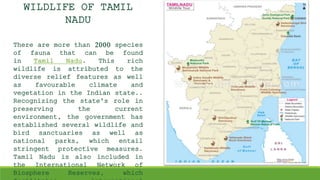 WILDLIFE OF TAMIL
NADU
There are more than 2000 species
of fauna that can be found
in Tamil Nadu. This rich
wildlife is attributed to the
diverse relief features as well
as favourable climate and
vegetation in the Indian state..
Recognizing the state's role in
preserving the current
environment, the government has
established several wildlife and
bird sanctuaries as well as
national parks, which entail
stringent protective measures.
Tamil Nadu is also included in
the International Network of
Biosphere Reserves, which
 