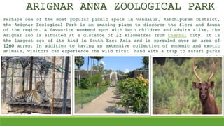 ARIGNAR ANNA ZOOLOGICAL PARK
Perhaps one of the most popular picnic spots in Vandalur, Kanchipuram District,
the Arignar Zoological Park is an amazing place to discover the flora and fauna
of the region. A favourite weekend spot with both children and adults alike, the
Arignar Zoo is situated at a distance of 32 kilometres from Chennai city. It is
the largest zoo of its kind in South East Asia and is sprawled over an area of
1260 acres. In addition to having an extensive collection of endemic and exotic
animals, visitors can experience the wild first hand with a trip to safari parks
where lions and deer can be easily spotted.
.
 