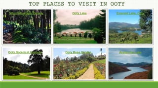 TOP PLACES TO VISIT IN OOTY
Ooty Lake Emerald Lake, OotyNilgiri Mountain Railway
Ooty Botanical Gardens Ooty Rose Garden Avalanche Lake
 