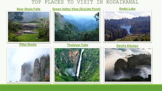 Devil's KitchenThalaiyar FallsPillar Rocks
Kodai LakeGreen Valley View (Suicide Point)Bear Shola Falls
TOP PLACES TO VISIT IN KODAIKANAL
 