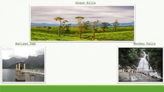 Aaliyar Dam Monkey Falls
Grass Hills
 