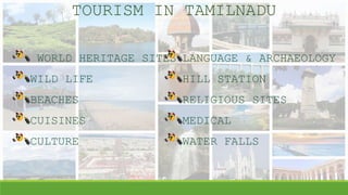 TOURISM IN TAMILNADU
WORLD HERITAGE SITES
WILD LIFE
BEACHES
CUISINES
CULTURE
LANGUAGE & ARCHAEOLOGY
HILL STATION
RELIGIOUS SITES
MEDICAL
WATER FALLS
 