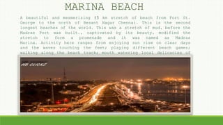A beautiful and mesmerizing 13 km stretch of beach from Fort St.
George to the north of Besant Nagar Chennai. This is the second
longest beaches of the world. This was a stretch of mud, before the
Madras Port was built., captivated by its beauty, modified the
stretch to form a promenade and it was named as Madras
Marina. Activity here ranges from enjoying sun rise on clear days
and the waves touching the feet; playing different beach games;
walking along the beach track; mouth watering local delicacies of
the eateries around; children and youngsters enjoying a pony
ride and tasting the delicious and Marina’s brand equity Sundal and
Murukku.
MARINA BEACH
 
