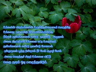 Tamil sms collection 4th part