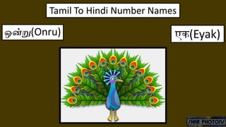 ஒன்று(Onru) एक(Eyak)
Tamil To Hindi Number Names
 