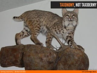taming	
  taxonomy	
  |	
  @albertatrebla UX	
  Cambridge	
  2013
TAXONOMY, NOT TAXIDERMY
photo: ifish.net
 