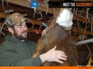 taming	
  taxonomy	
  |	
  @albertatrebla UX	
  Cambridge	
  2013
USER RESEARCH
Doug	
  Rowland George	
  Byth Amanda	
  SuFon
Fishing	
  enthusiast Gamekeeper	
  and	
  guide Amateur	
  taxidermist
Doug	
  is	
  an	
  avid	
  ﬁsherman	
  who	
  travels	
  
extensively	
  to	
  ﬁsh	
  in	
  exo/c	
  and	
  some/mes	
  
isolated	
  spots.
He	
  is	
  an	
  ajorney	
  in	
  Oxwich	
  and	
  has	
  just	
  
bought	
  a	
  new	
  oﬃce	
  in	
  Edinburgh	
  which	
  he	
  
would	
  like	
  to	
  decorate	
  with	
  his	
  prized	
  
catches.
Doug	
  is	
  frustrated	
  by	
  the	
  lack	
  of	
  taxidermists	
  
specializing	
  in	
  ﬁsh	
  in	
  the	
  UK	
  and	
  is	
  willing	
  to	
  
travel	
  or	
  ship	
  his	
  specimens	
  in	
  order	
  to	
  get	
  
what	
  he	
  wants.	
  He	
  is	
  also	
  looking	
  to	
  
purchase	
  containers	
  to	
  preserve	
  his	
  catch	
  
during	
  his	
  travels.
George	
  has	
  just	
  begun	
  working	
  as	
  
gamekeeper	
  for	
  the	
  Forestry	
  Commission	
  
Scotland	
  at	
  the	
  Loch	
  Lomond	
  and	
  The	
  
Trossach	
  Na/onal	
  Park.	
  The	
  wildlife	
  
exhibi/on	
  in	
  the	
  David	
  Marshall	
  Lodge	
  Visitor	
  
Centre	
  where	
  he	
  is	
  based	
  contains	
  several	
  
taxidermied	
  animals	
  in	
  poor	
  shape	
  and	
  
George	
  needs	
  to	
  learn	
  how	
  to	
  properly	
  care	
  
of	
  them.	
  Addi/onally,	
  George’s	
  boss	
  has	
  
asked	
  him	
  to	
  research	
  taxidermy	
  
professionals	
  to	
  engage	
  on	
  contract	
  and	
  for	
  a	
  
series	
  of	
  lectures	
  in	
  the	
  na/onal	
  parks.
Amanda	
  is	
  a	
  re/ree	
  in	
  her	
  six/es.	
  She	
  lives	
  
Thurso	
  and	
  owns	
  a	
  cojage	
  in	
  Kingussie	
  
where	
  she	
  hunts	
  red	
  deer.	
  Now	
  that	
  she	
  has	
  
/me	
  to	
  spare,	
  she	
  has	
  decided	
  to	
  appren/ce	
  
with	
  a	
  taxidermist.	
  Amanda	
  would	
  be	
  willing	
  
to	
  follow	
  an	
  online	
  course,	
  but	
  will	
  need	
  to	
  
purchase	
  books	
  and	
  supplies.	
  Moreover,	
  she	
  
has	
  a	
  deer	
  and	
  a	
  fox	
  in	
  her	
  freezer	
  that	
  she	
  
would	
  like	
  to	
  get	
  stuﬀed,	
  but	
  can’t	
  ﬁnd	
  an	
  
aﬀordable	
  taxidermist.
GOAL
Finding	
  ﬁsh	
  taxidermy	
  specialist,	
  buying	
  
equipment.
GOAL
Learning	
  how	
  to	
  care	
  for	
  taxidermied	
  
animals,	
  loca/ng	
  a	
  professional.
GOAL
Learning	
  taxidermy	
  either	
  in	
  person	
  or	
  
online,	
  buying	
  supplies,	
  gerng	
  catches	
  
taxidermied.
photo: flickr.com (charliereece, jonhoward, widnr)
 