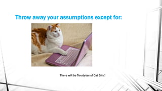 Throw away your assumptions except for:
There will be Terabytes of Cat Gifs!!
 