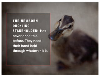 THE NEWBORN
DUCKLING
STAKEHOLDER: Has
never done this
before. They need
their hand held
through whatever it is.
 