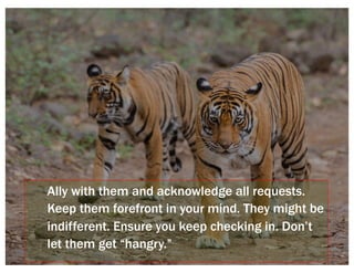 Ally with them and acknowledge all requests.
Keep them forefront in your mind. They might be
indifferent. Ensure you keep checking in. Don’t
let them get “hangry.”
 
