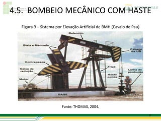 4.5. BOMBEIO MECÂNICO COM HASTE
  Figura 9 – Sistema por Elevação Artificial de BMH (Cavalo de Pau)




                        Fonte: THOMAS, 2004.

                                                                      27
 