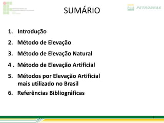 SUMÁRIO

1. Introdução
2. Método de Elevação
3. Método de Elevação Natural
4 . Método de Elevação Artificial
5. Métodos por Elevação Artificial
   mais utilizado no Brasil
6. Referências Bibliográficas


                                     3
 