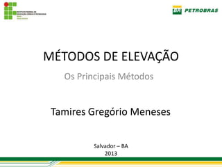 MÉTODOS DE ELEVAÇÃO
   Os Principais Métodos


 Tamires Gregório Meneses

         Salvador – BA
             2013
 