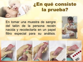 ¿En qué consiste
la prueba?
En tomar una muestra de sangre
del talón de la persona recién
nacida y recolectarla en un papel
filtro especial para su análisis.
 