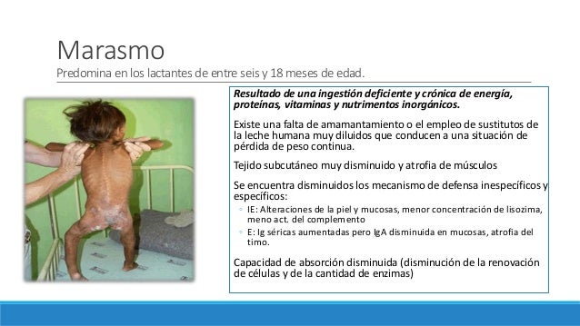 El análisis a los helmintos en la sangre