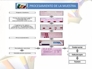 PROCESAMIENTO DE LA MUESTRA
 