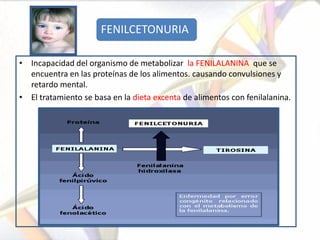 FENILCETONURIA

• Incapacidad del organismo de metabolizar la FENILALANINA, que se
  encuentra en las proteínas de los alimentos. causando convulsiones y
  retardo mental.
• El tratamiento se basa en la dieta excenta de alimentos con fenilalanina.
 