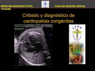MEDICINA MATERNO FETAL CAJA DE SEGURO SOCIAL PANAMA        Cribado y diagnóstico de cardiopatías congénitas DRA. TANIA T. HERRERA R. MEDICINA MATERNOFETAL 